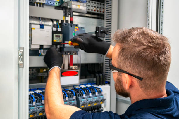 Best Electric Panel Repair  in Manson, IA